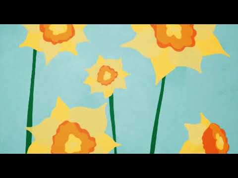 Good Dog - Daffodils (Visualiser)